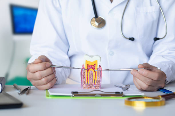 Best Dentist for Severe Toothache  in Arlington, OH